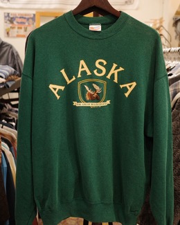 1990'sHanes動物大學T