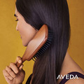 AVEDA木質髮梳(大/小)