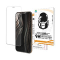 Oweida iPhone 全系列 9H鋼化全透明玻璃貼(非滿版)_1
