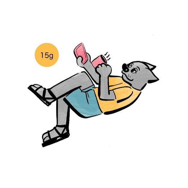 衣索比亞  蓋德奧 耶加雪菲  潔蒂普鎮  喬蓓莎村  喬蓓莎處理廠  G1 (乾式發酵水洗)