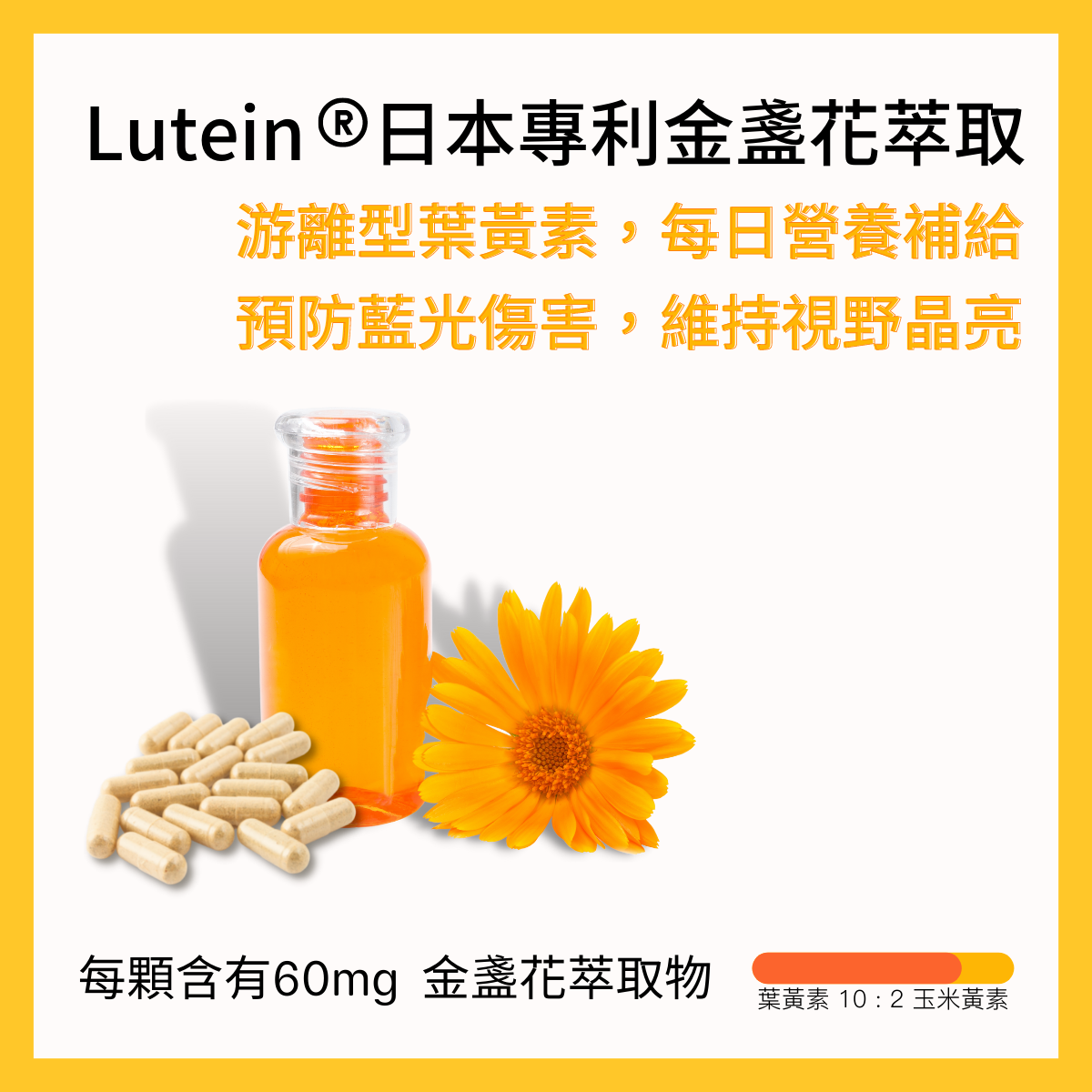 金盞花葉黃素萃取 - 美國國家衛生研究院大型臨床研究眼疾研究指出，葉黃素和玉米黃素以10:2的黃金比例配方補充最佳