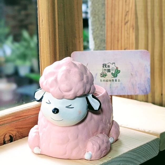 多肉盆器-綿羊