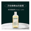 義大利CARONE阿勒坡月桂橄欖油專用洗髮精 （珍貴月桂果油5%，可天天洗配方 ）