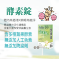 酵素錠