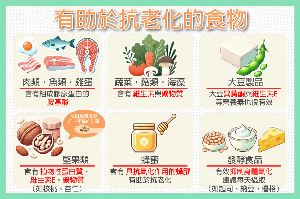 有助於抗老化以及抗氧化的食物，可有效抵抗自由基
