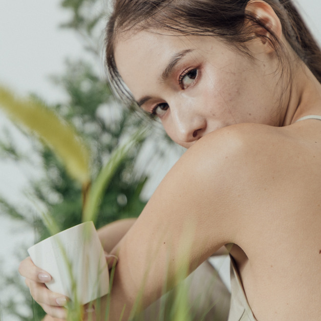 雨後森林 Rain Forest