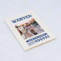 WANTED通緝令卡片_1