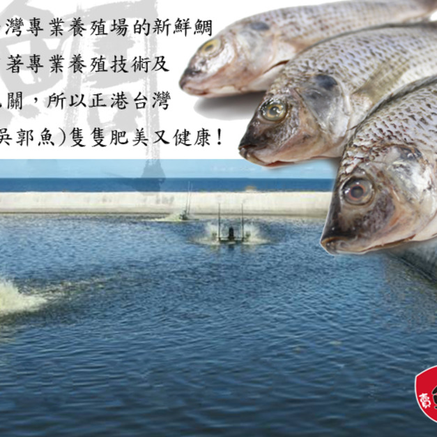 【凍好鮮】台灣鯛魚片(200-250g)