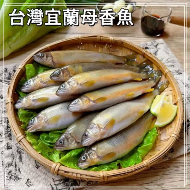 【凍好鮮】台灣宜蘭母香魚
