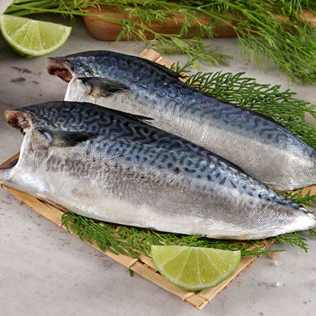 台灣薄鹽鯖魚