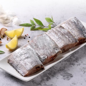 大西洋頂級白帶魚