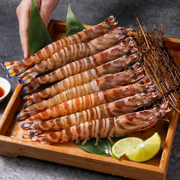 澎湖活凍野生明蝦