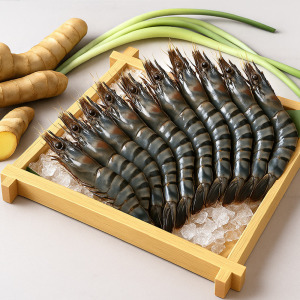 極品活凍大草蝦 10p