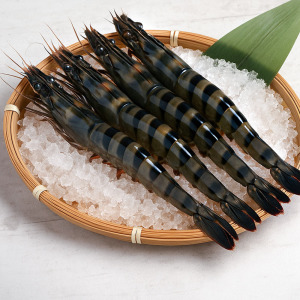 極品活凍特大草蝦 4p