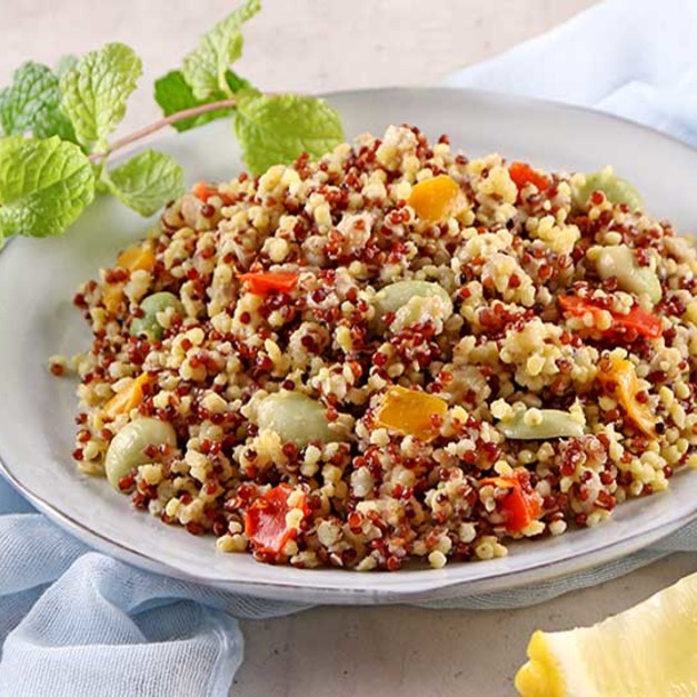 廣宏一鮮彩雞肉藜麥小米