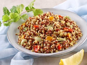 廣宏一鮮彩雞肉藜麥小米