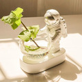宇宙人花瓶