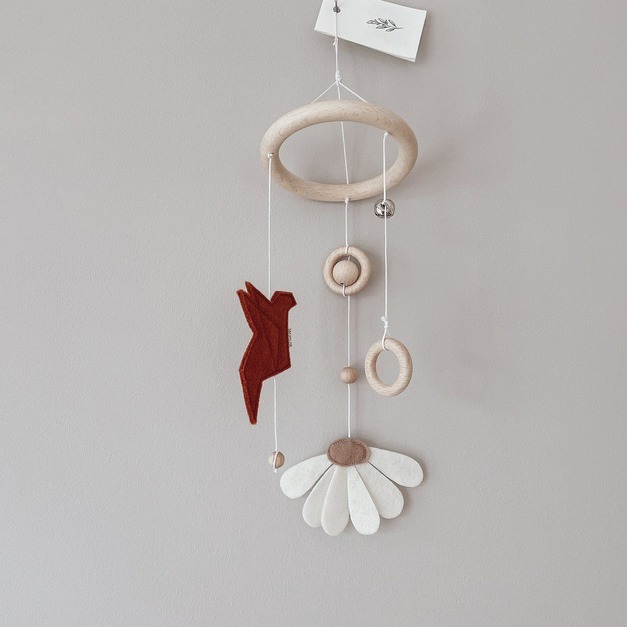 Daisy daylight Terra