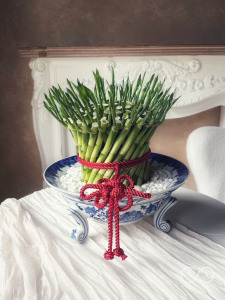 [B006] 開運竹-青花瓷