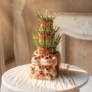 大五福 - 豪華招財貓開運竹