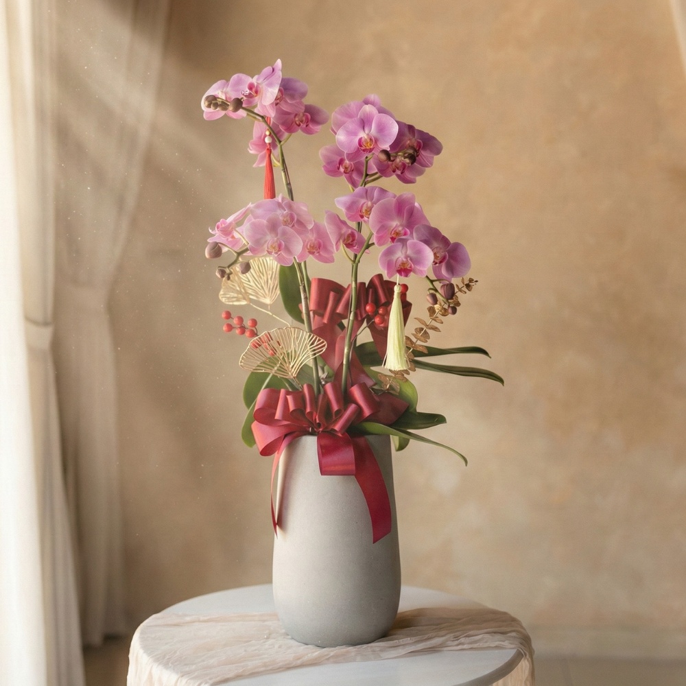 扶搖千里 - 粉紅蝴蝶蘭盆栽