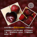 ★預購★ 買1送1｜9ROW華盛頓櫻桃｜600g禮盒_3