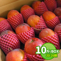 ◆會員限定折111｜枋山愛文芒果10斤｜20-26顆/6KG/盒