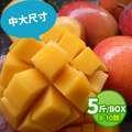 ◆會員限定折111｜大顆｜枋山愛文芒果 5斤｜8-10顆/3KG/盒