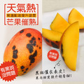 ◆會員限定折111｜特大｜枋山愛文芒果 5斤｜6-8顆/3KG/盒_4