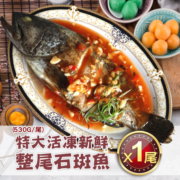 活凍石斑魚 (大尾)去麟去鰓 530g-任選