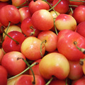 特大9ROW華盛頓白櫻桃(規格600g~1.8kg)｜空運美國櫻桃禮盒 ◆輸碼現折118_1