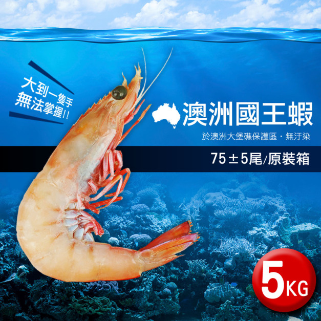 澳洲大堡礁野生國王蝦5KG原裝箱(約75尾)-生食等級