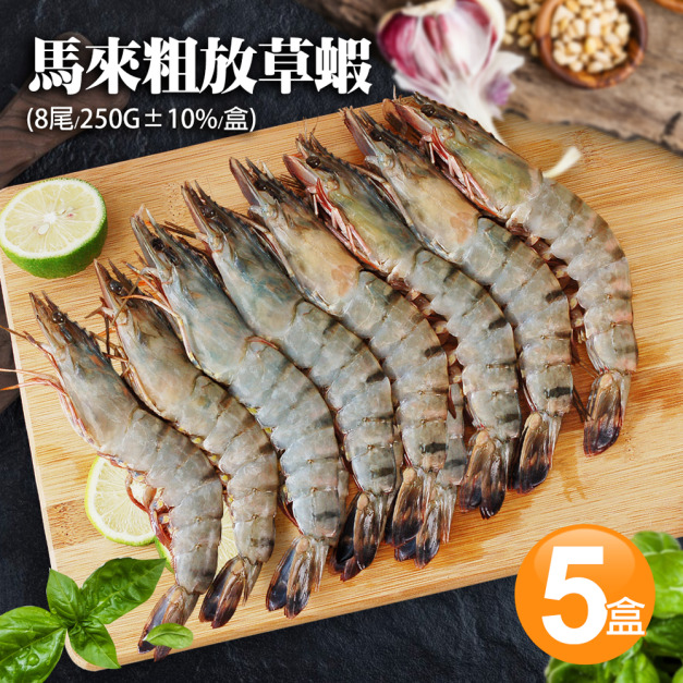 馬來草蝦8尾x5盒(250g/盒)