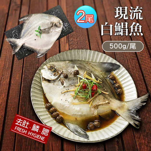 野生一本釣白鯧魚X2尾(約500g/尾)