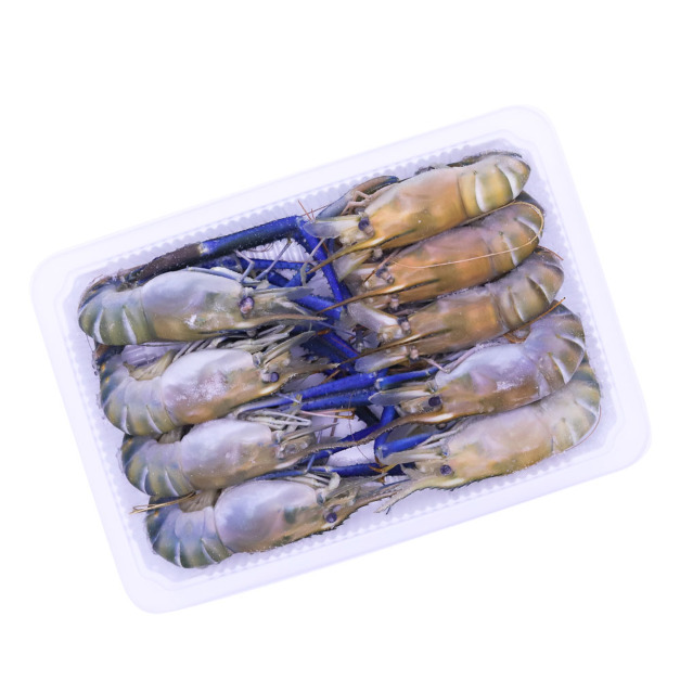 ★ 活凍泰國蝦500G｜1盒(約9&plusmn;1尾)