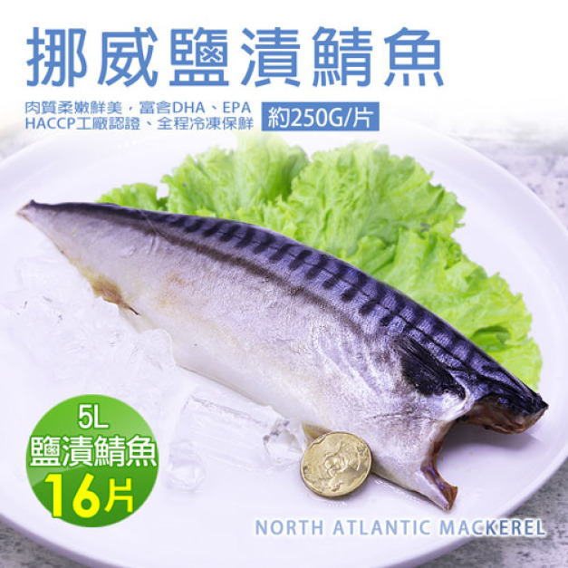 5L大挪威薄鹽鯖魚16片(250g/片)