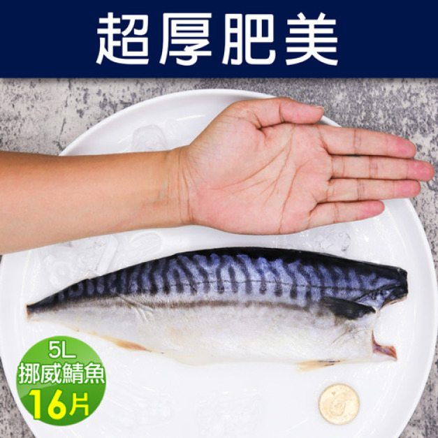 5L大挪威薄鹽鯖魚16片(250g/片)