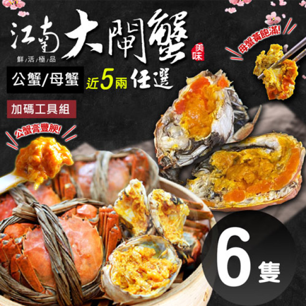 活體江南大閘蟹公母任選6隻(近5兩/隻，加碼贈工具組)