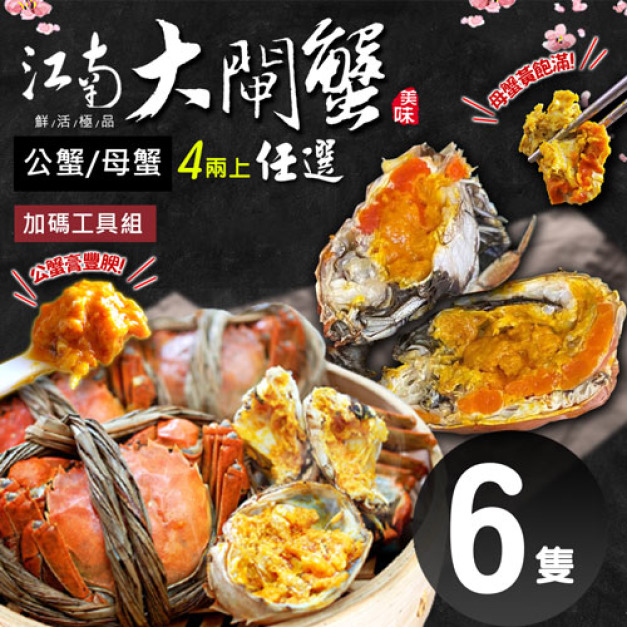 活體江南大閘蟹公母任選6隻(4兩上組/隻，加贈碼工具組)