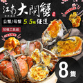 5.5兩/隻｜特A｜大閘蟹公母任選8隻(江南活蟹)｜加碼贈工具組
