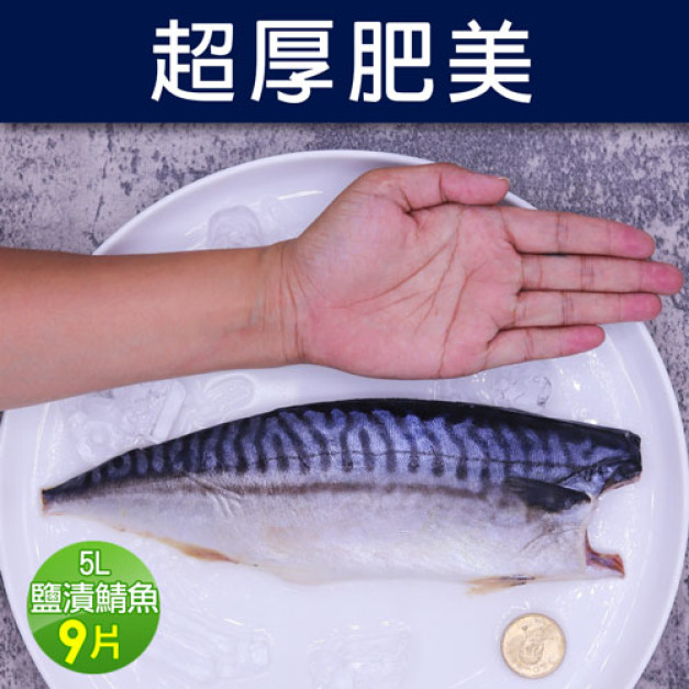 5L大挪威薄鹽鯖魚9片(250g/片)