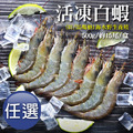 31/35｜海水養殖白蝦500g｜約15尾｜任選