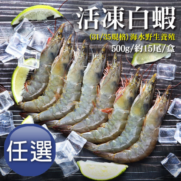 31/35｜海水養殖白蝦500g｜約15尾｜任選