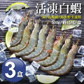 31/35｜海水養殖白蝦500g｜3盒｜約15尾