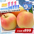 ★會員限定折111★日本青森TOKI水蜜桃蘋果禮盒1盒(9顆/盒/2.5kg)-常溫配送