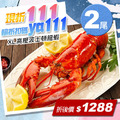 ★會員限定折111★XL｜波士頓龍蝦500g｜2隻