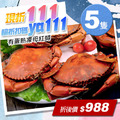 ★會員限定折111★熟凍｜蟹黃｜母紅蟳150-200g｜5隻