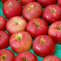 紅顏姬｜M尺寸｜日本青森蘋果禮盒組｜15±1顆｜4.8kg_4