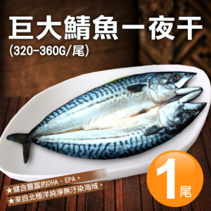 北極洋｜特大｜鯖魚一夜干320-360g｜任選