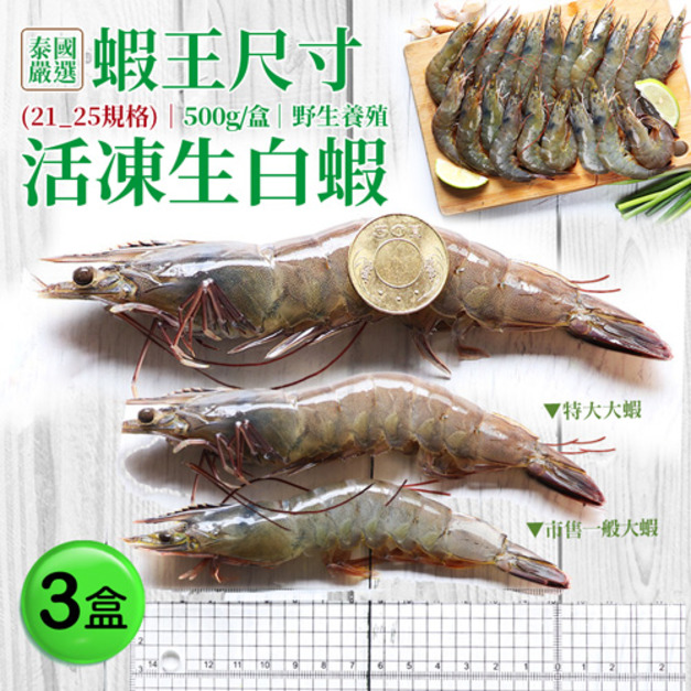 ◆4月會員限定折100｜手掌大｜蝦王｜21/25生白蝦X3盒(500G/約10尾)